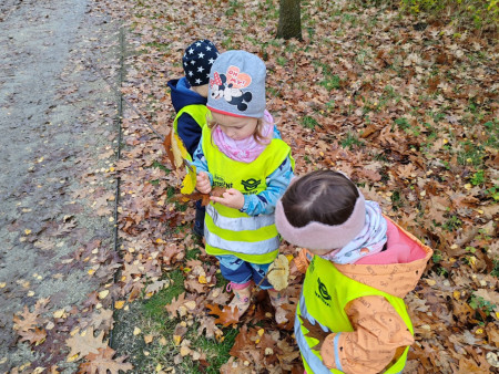 Užíváme si podzimu